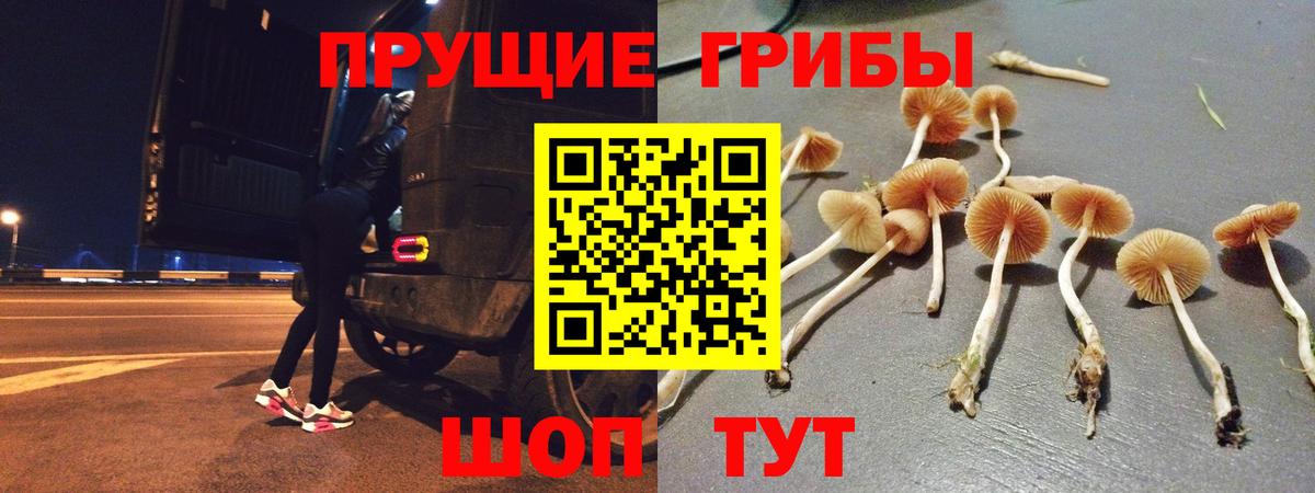 Галлюциногенные грибы Magic Shrooms  наркота  Ейск  Галлюциногенные грибы мухоморы  Вход с VPN 